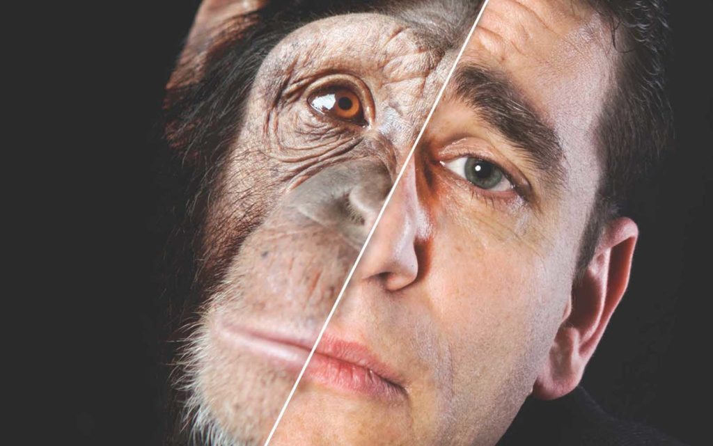 Book excerpt: “How Should Christians Approach Origins?”