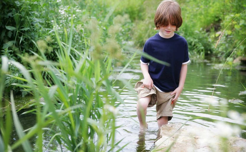 Environmentalists: How to tell the bad ones from the good | Reformed