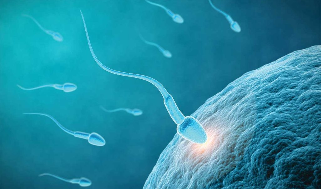 Investigating the Birth Control Pill