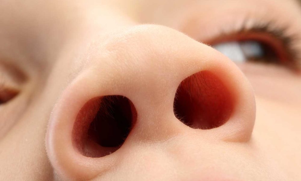 How the nose knows! Reformed Perspective