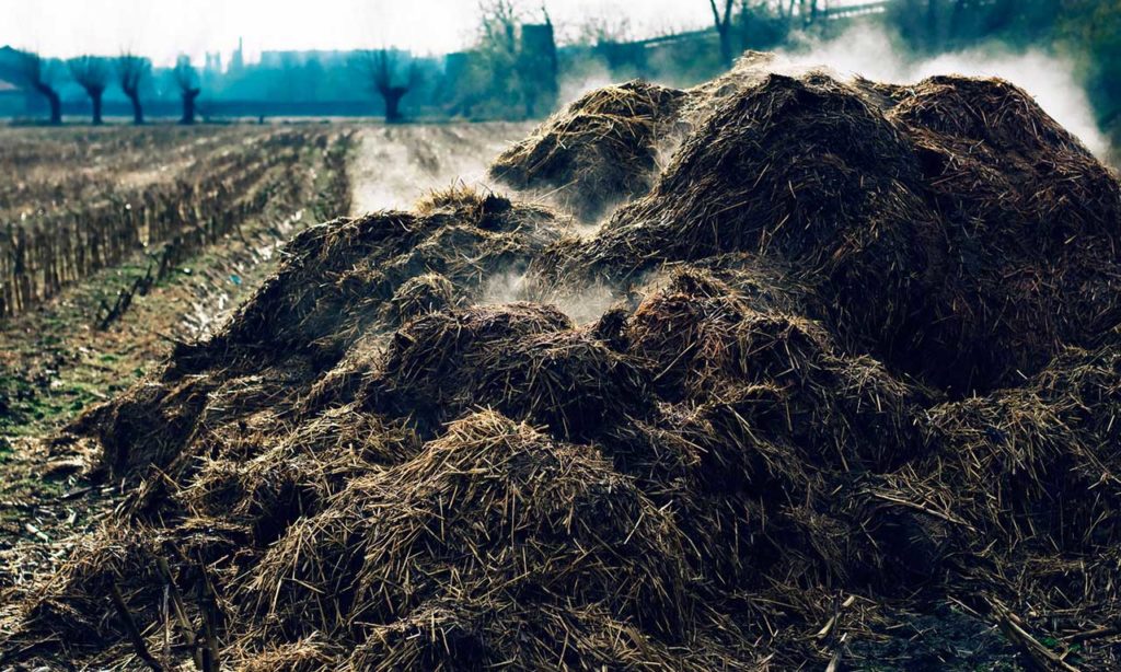 Manure into mattresses – we can “create” resources