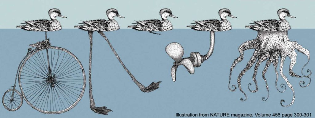 On DNA and how “things are seldom what they seem”