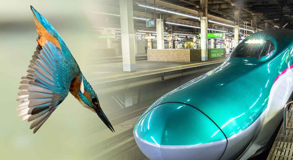 Biomimicry recognizes the genius (but not the Genius) behind the wonders of creation