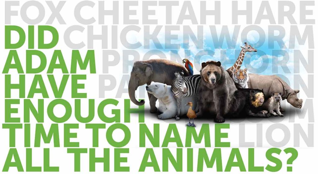 Did Adam have enough time to name all the animals?
