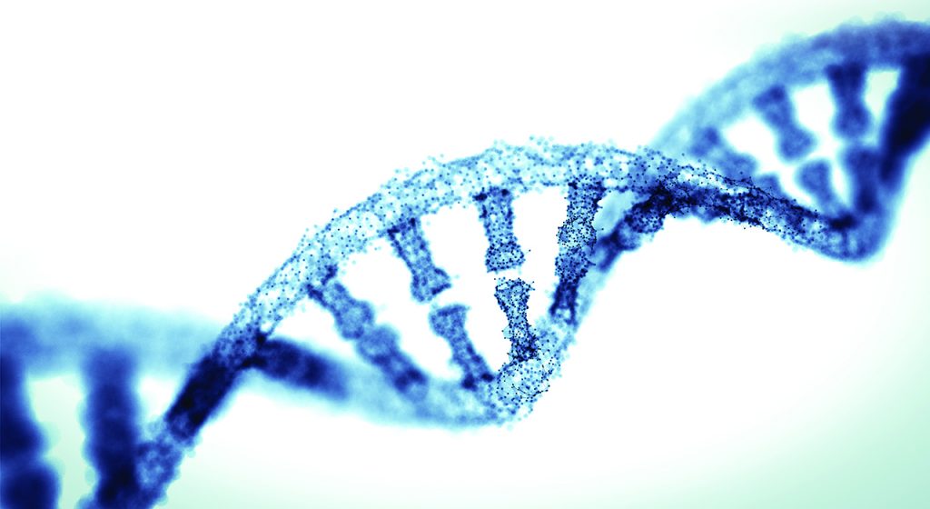 DNA: good discovery, bad agenda