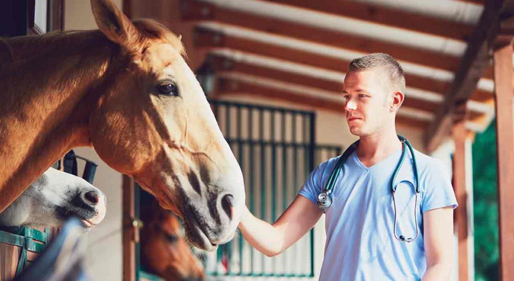 They shoot horses, don’t they?