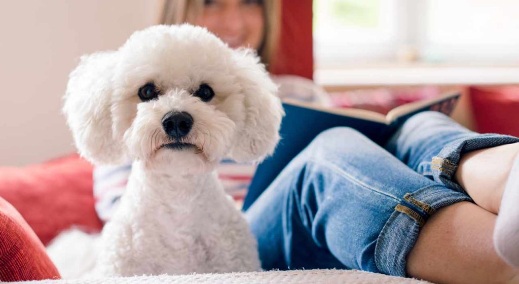 Woman identifies as a man who identifies as a dog