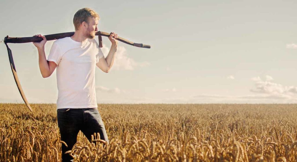 Tuesday December 18– Seeking more workers for the harvest