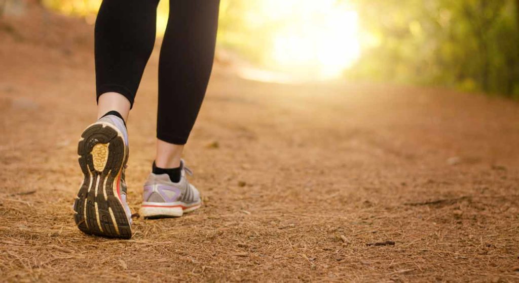 Tuesday January 8 – Walk in the light of life