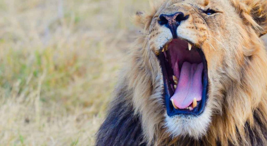 March 30 – Your adversary 