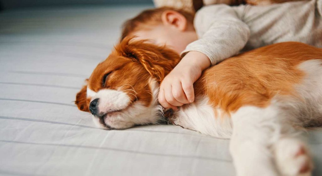 April 11 – Joy in this world