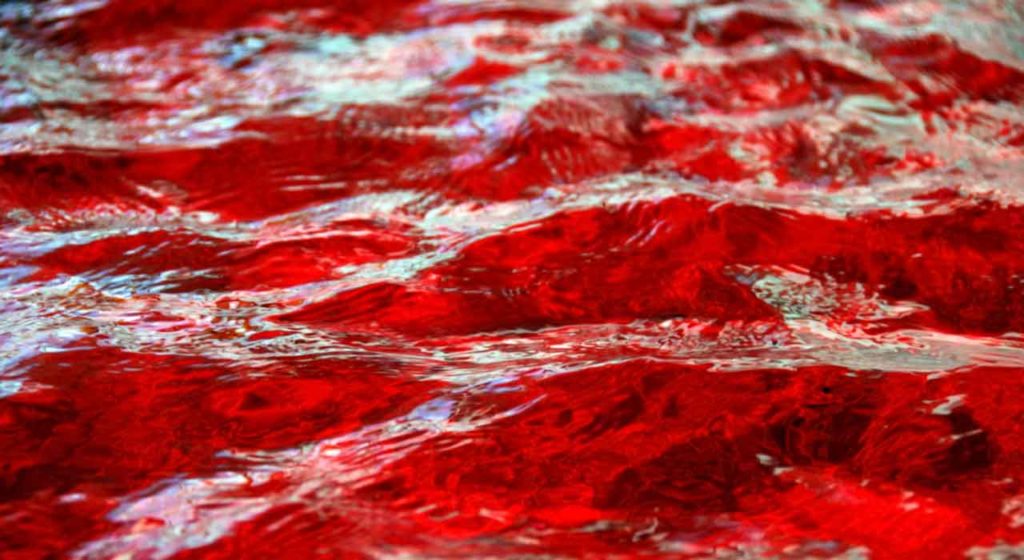 May 16 – God commands the water to become blood