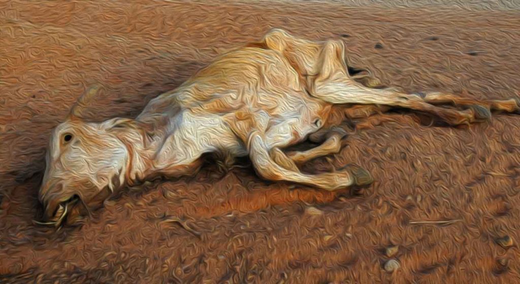 May 19 – God commands the animals to die and the dust to bring distress