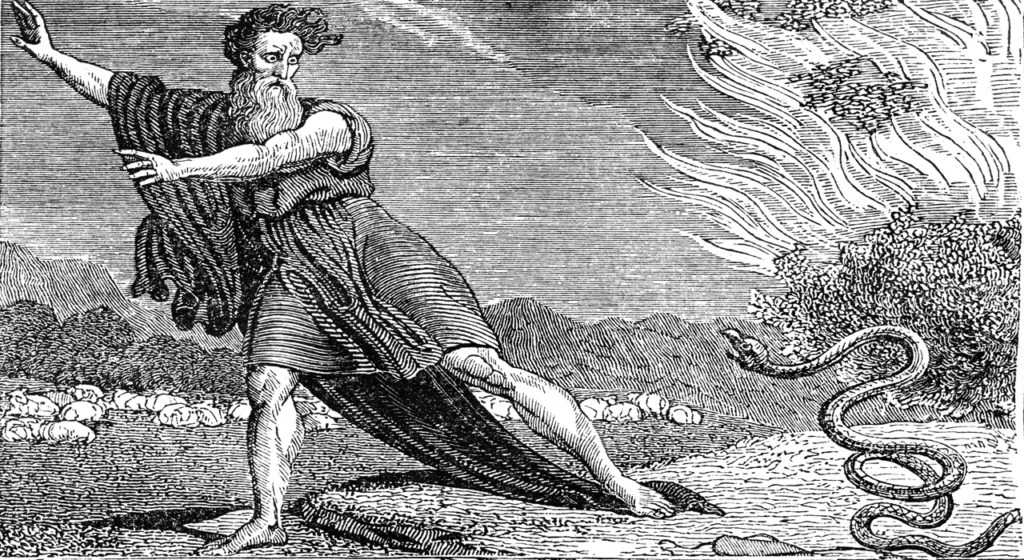 May 8 – It shall not harm you