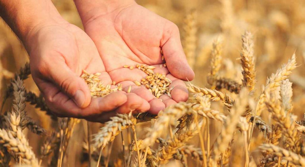 July 25 – Taste the goodness of the Lord