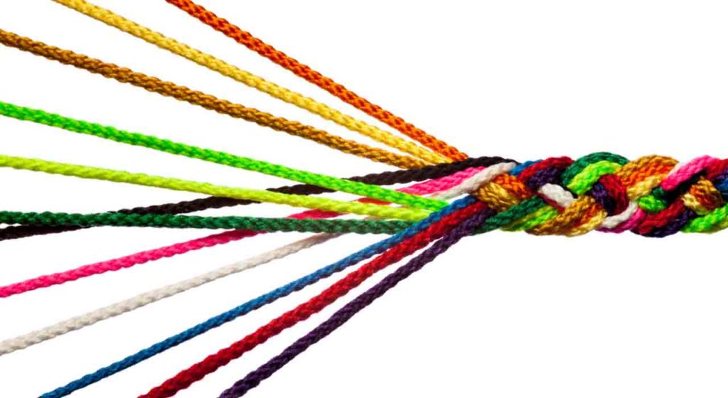 July 8 – Commitment to the unity of faith