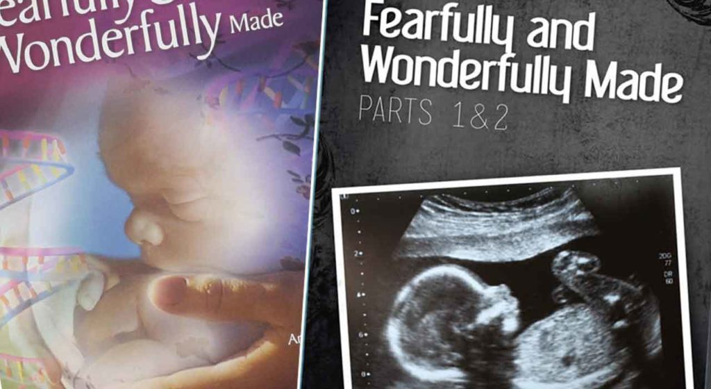 Fearfully and Wonderfully Made