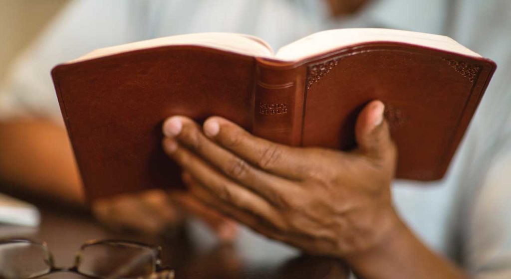 November 15 – The law of faith