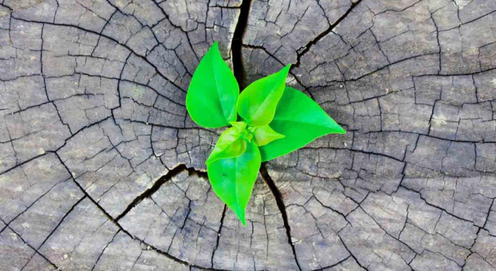 December 22 – Prophets promise Christ’s coming (1): A Christmas stump