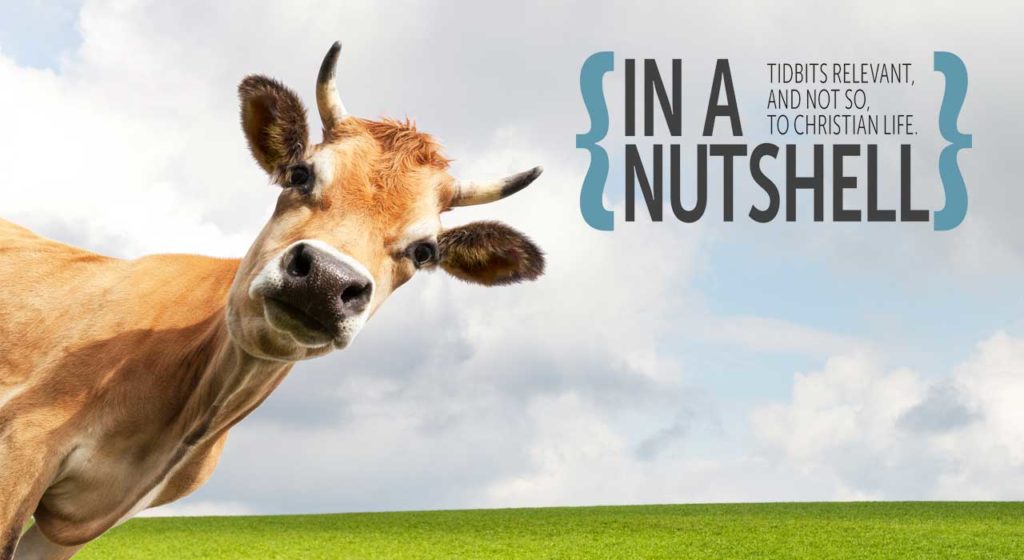 Tidbits – November 2019