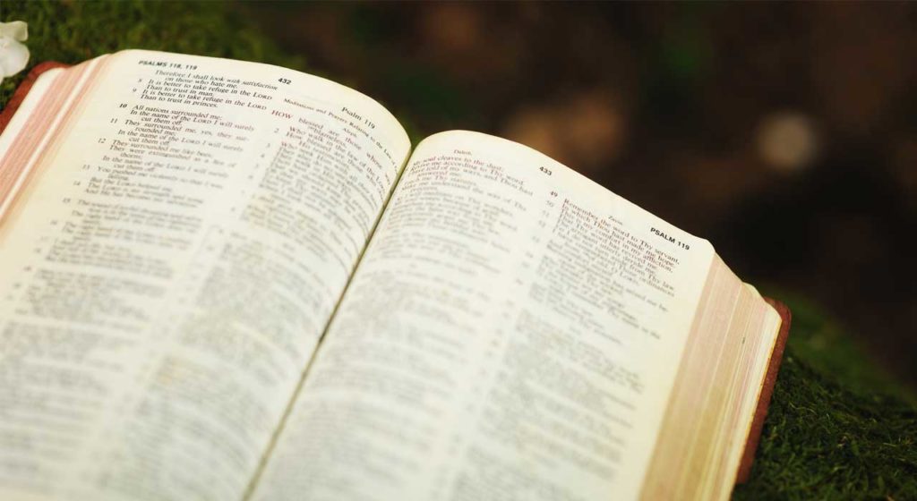 Introduction to the month of February – Aleph (1): Torah