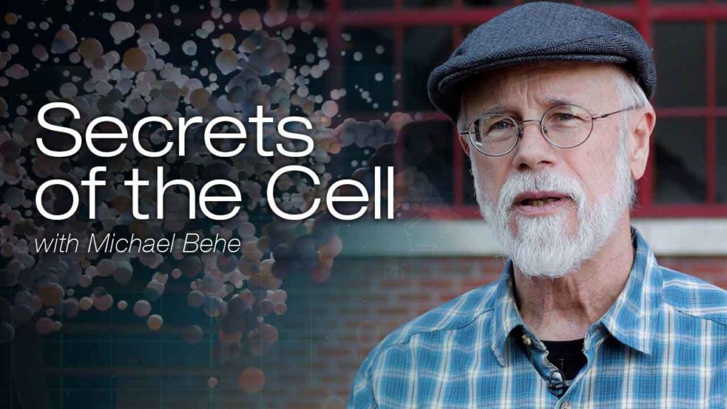 Secrets of the Cell with Michael Behe: Season 1