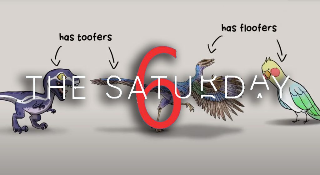Saturday Selections – May 9, 2020