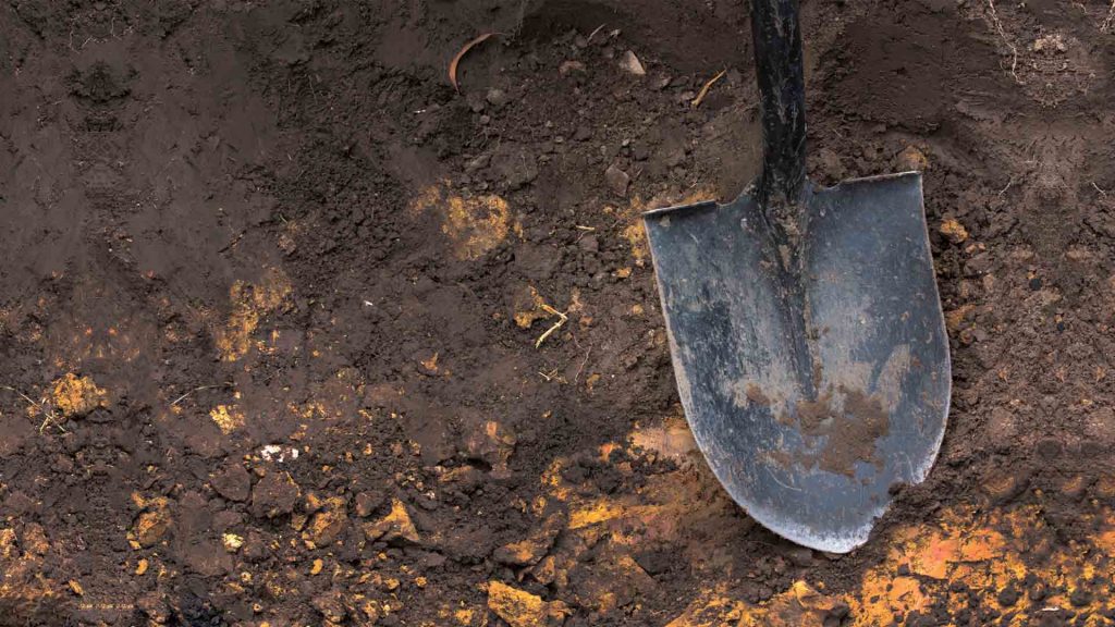 Evolution as a gravedigger