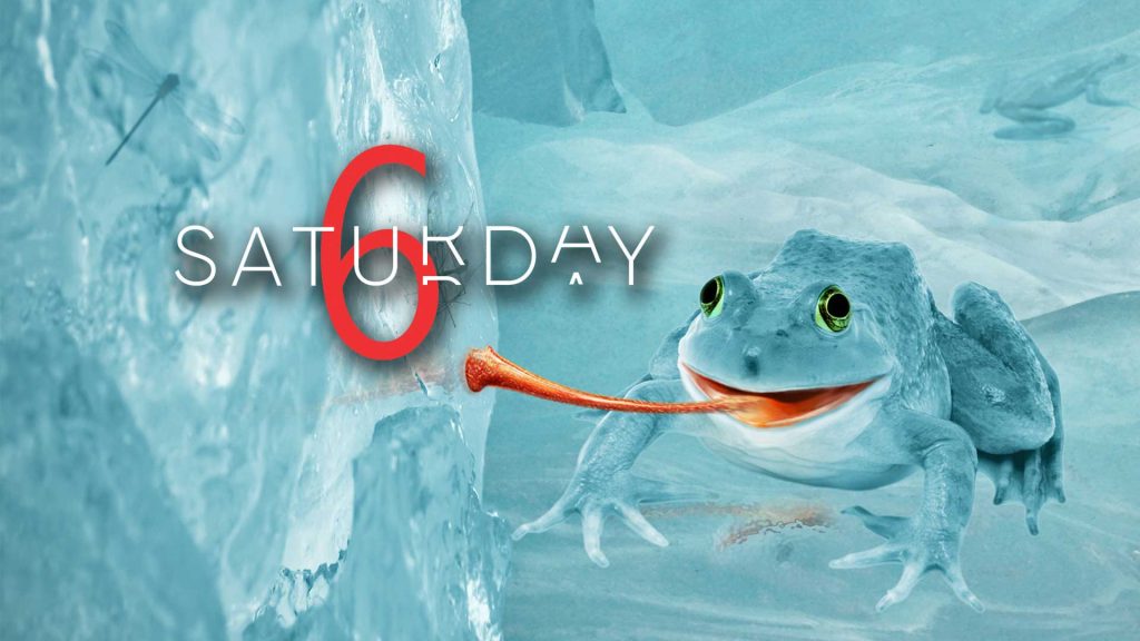 Saturday Selections – May 23, 2020