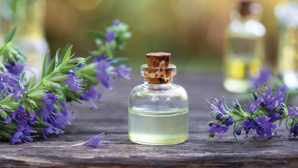 August 19 – Cleanse me with hyssop
