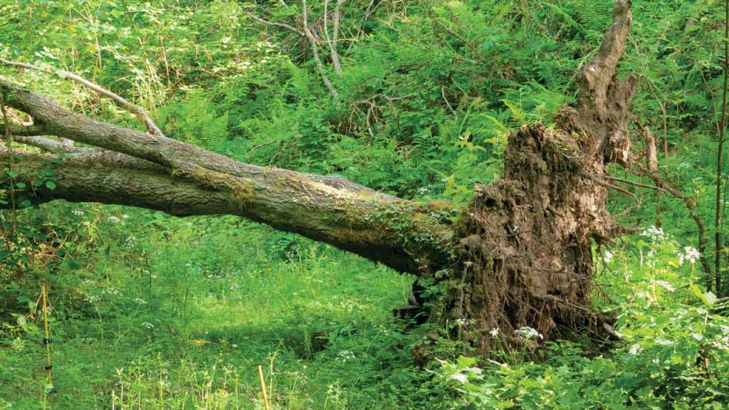 August 25 – Singing the truth about God