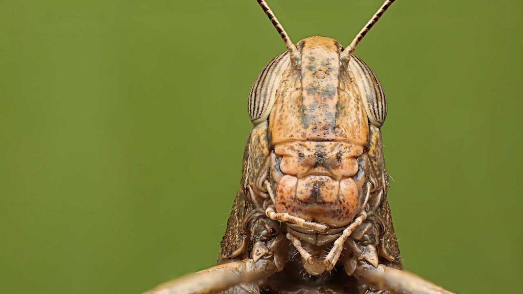 July 13 – Warning signs