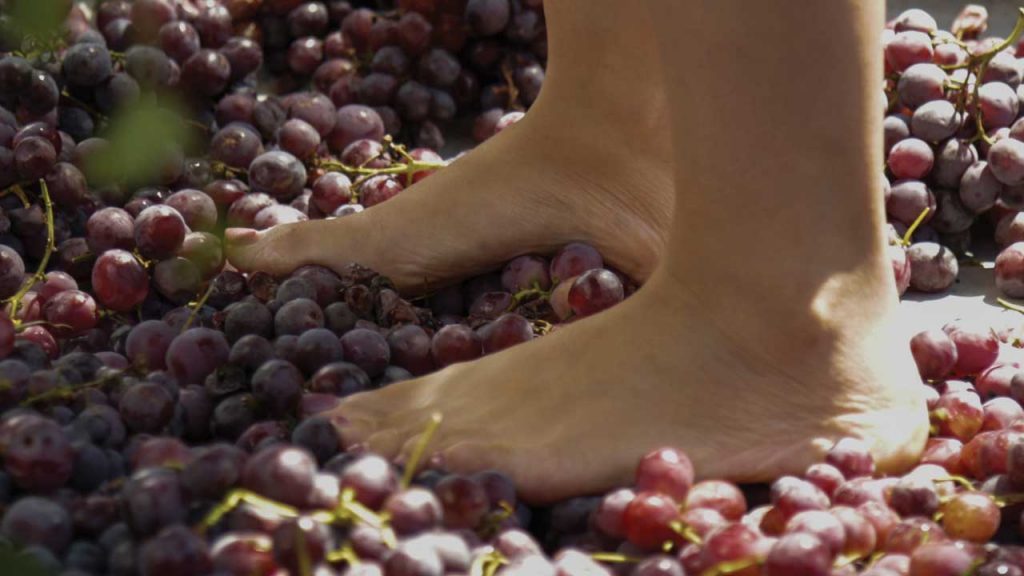 July 30 – Abundant life