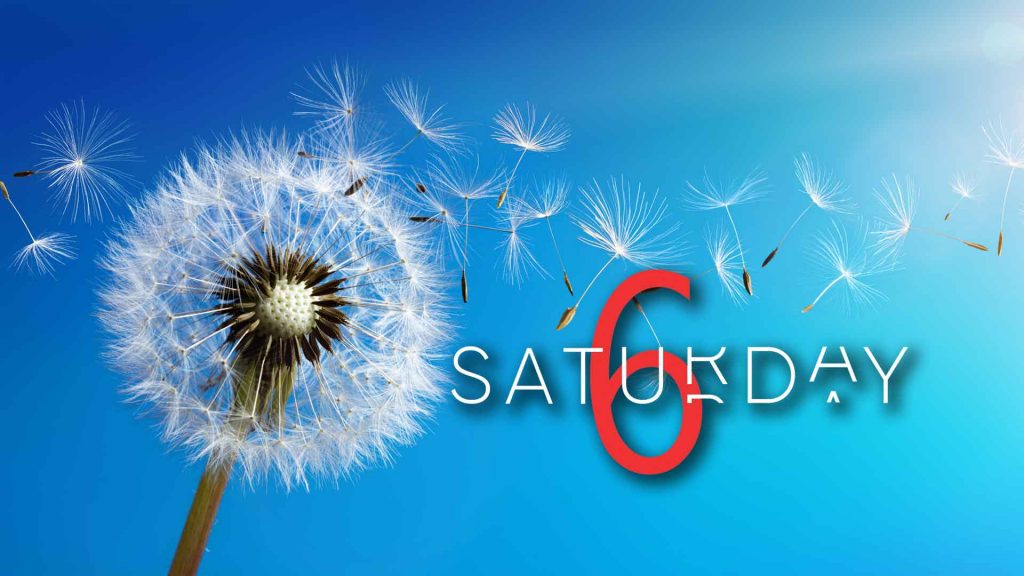 Saturday Selections – June 13, 2020