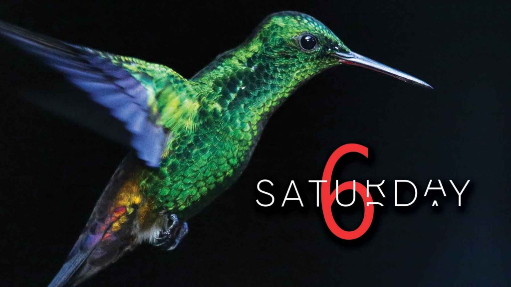 Saturday Selections – July 4, 2020