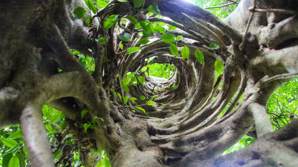 September 10 – The fruit of the Spirit: produced in us