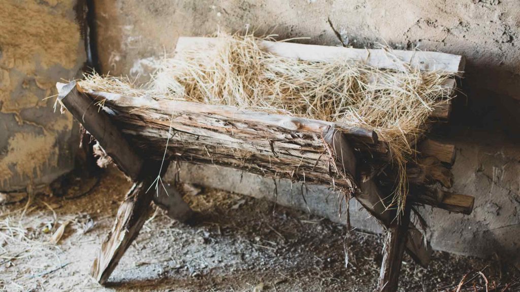 Introduction to December’s devotionals