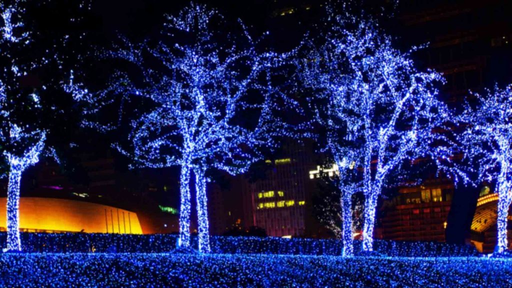 December 11 – The Christmas light