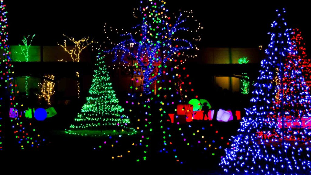 December 8 – Never too dark
