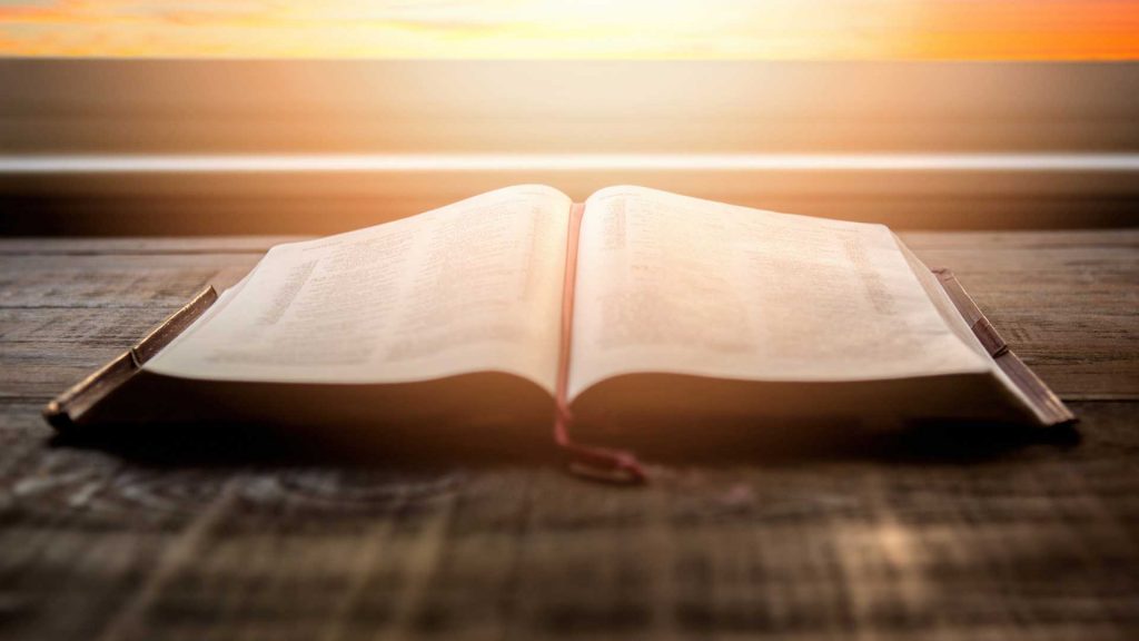 November 24 – The Gospel for big brother(s)
