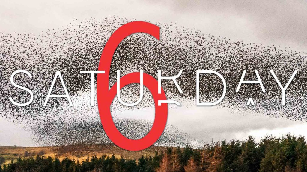 Saturday Selections – December 5, 2020