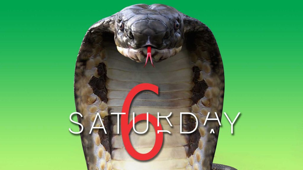 Saturday Selections – Nov 7, 2020