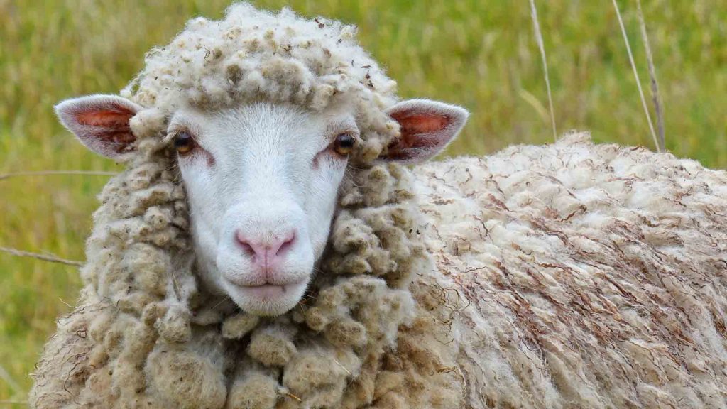April 17 – Our covenantally faithful God