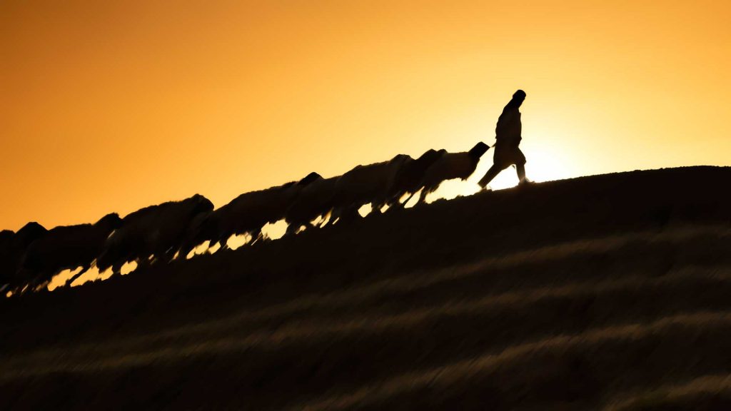 April 18 – Yahweh is my Shepherd