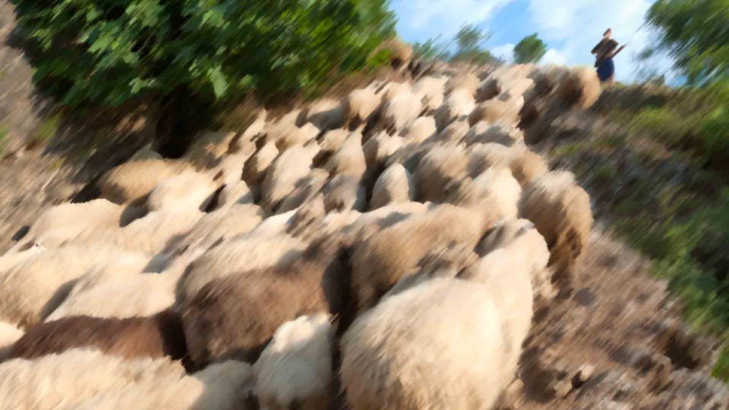 April 22 – He leadeth me