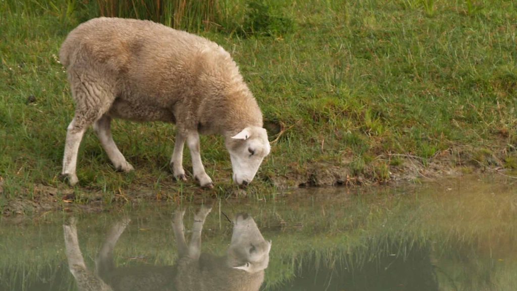 April 20 – Christ my daily provider