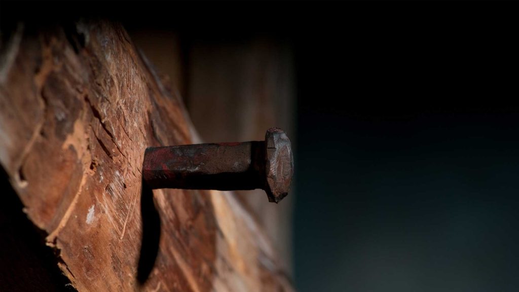 February 21 – Christ’s sacrifice of His life and God’s mission