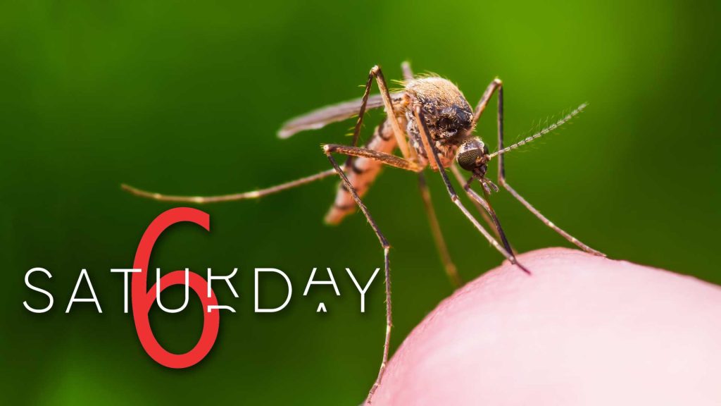 Saturday Selections – January 9, 2021