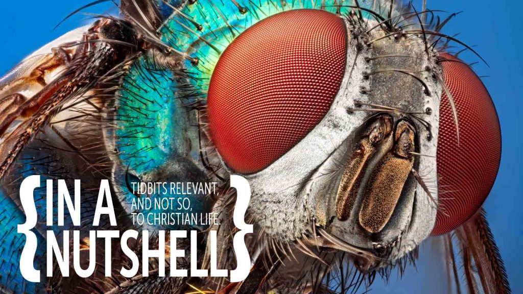 Tidbits – February 2021