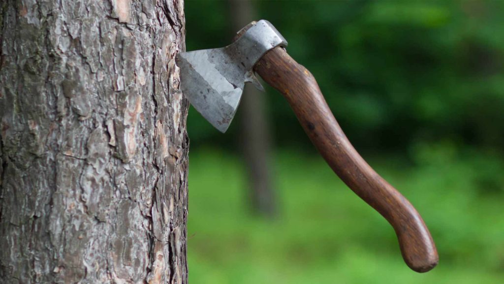 May 28 – Do justice, love kindness, walk humbly with your God